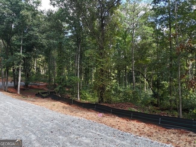 TRACT-10 - 0 Sanford Dr, Home with 0 bedrooms, 0 bathrooms and null parking in Nicholson GA | Image 14