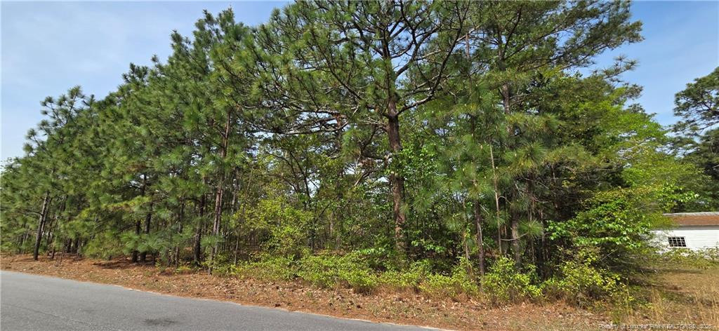 Land in Fayetteville 2