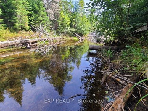 Pt Lt 8 Old Barry'S Bay Rd, Madawaska Valley, ON, K0J1B0 | Card Image