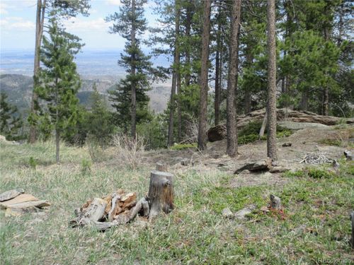 19722 Maxwell Dr, Morrison, CO, 80465-2343 | Card Image