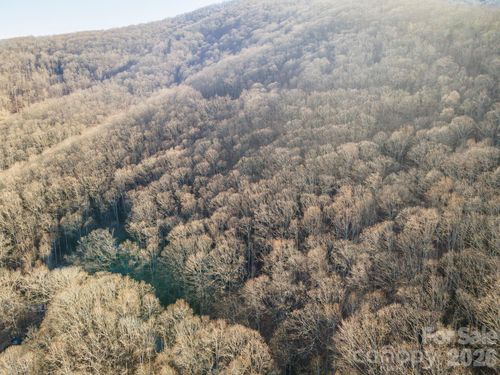 18-00 Wildflower Cove Dr, Swannanoa, NC, 28778 | Card Image