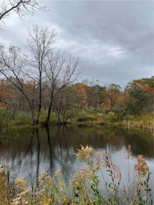 0 Voorheis Rd, Trumansburg, NY, 14886 | Card Image