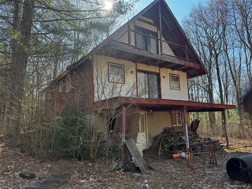 319 Lake Rd, Hunter, NY, 12442 | Card Image