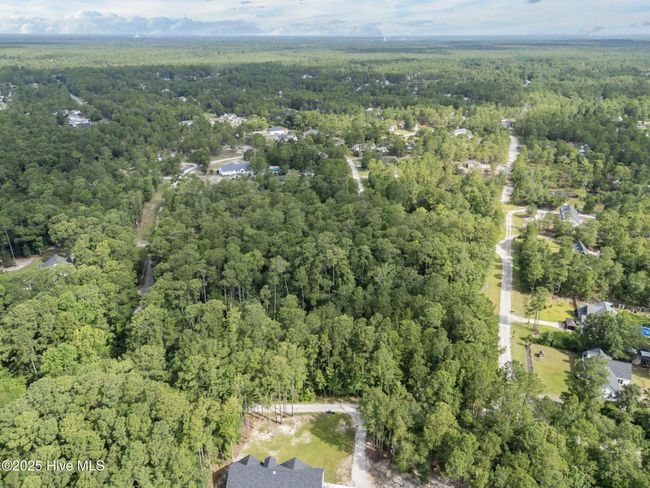 491 Argonne Rd, Home with 0 bedrooms, 0 bathrooms and null parking in Boiling Spring Lakes NC | Image 9