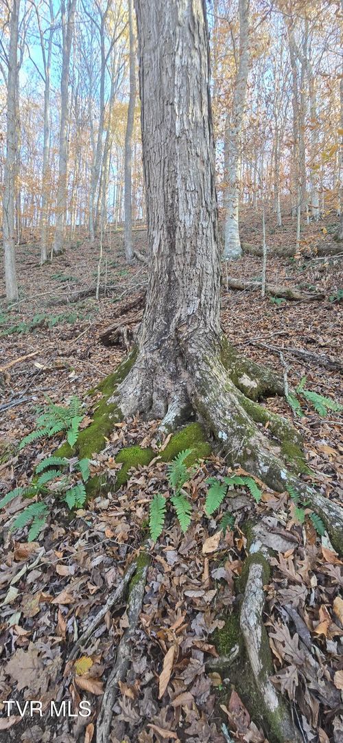 2351 Line Rd, Eidson, TN, 37731-7210 | Card Image