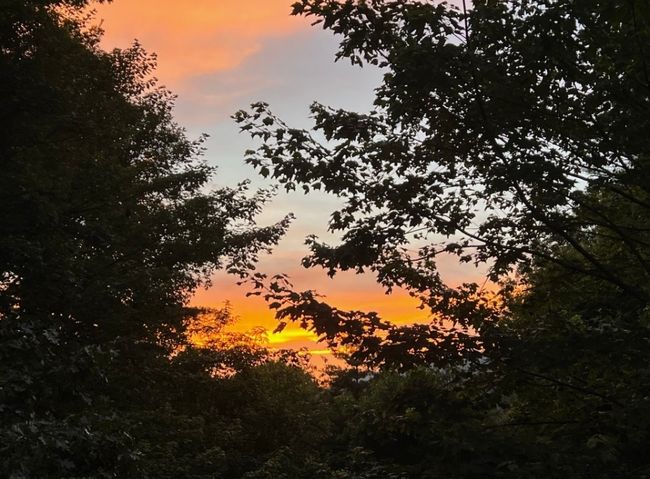 Photo Captured by Seller | Image 21