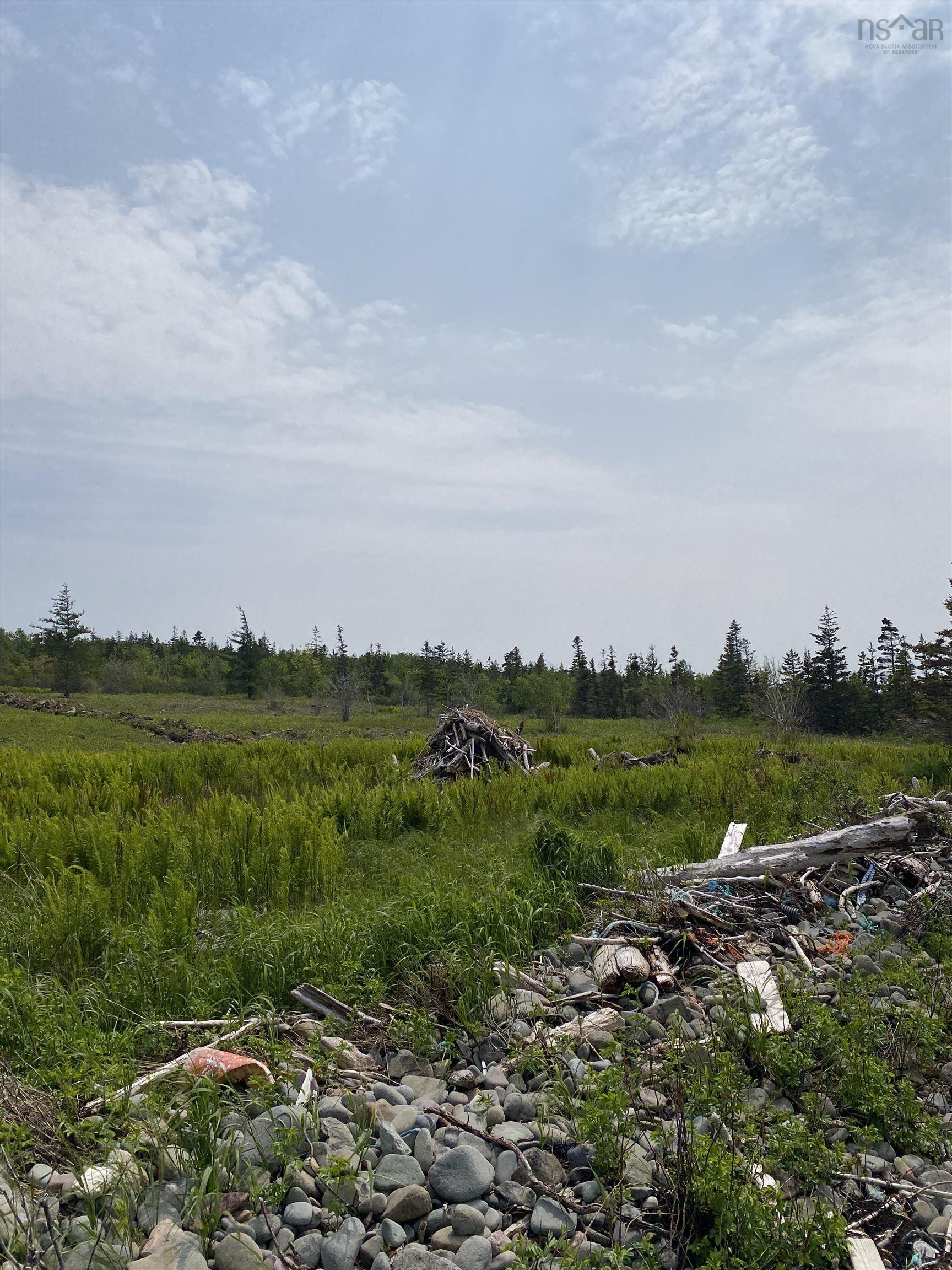 Land in Phinneys Cove 3