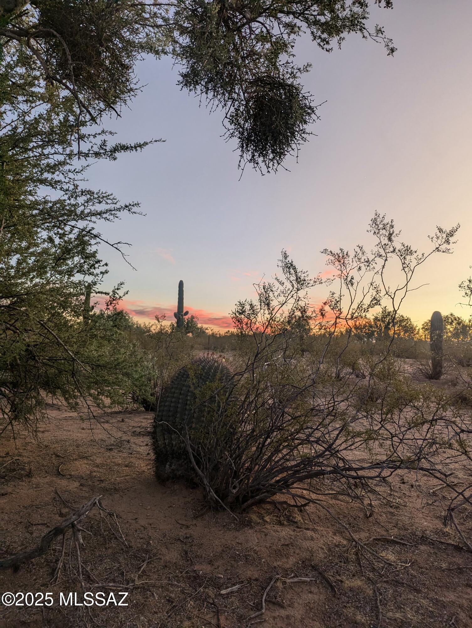 Land in Tucson 5