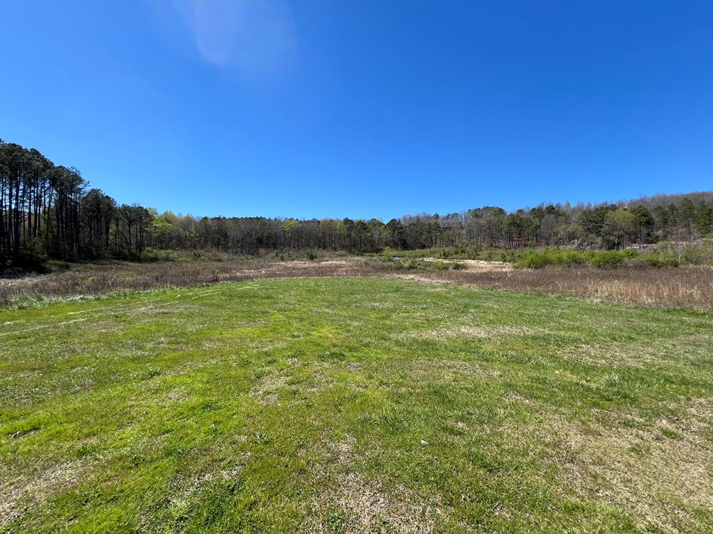 Cleveland Hwy, Cohutta, GA 30710