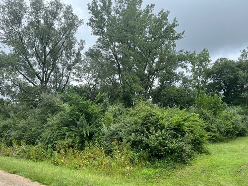 6 Walnut Dr, Putnam, IL, 61560-9586 | Card Image