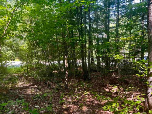 -- Landsdown Ln, Conway, NH, 03818 | Card Image