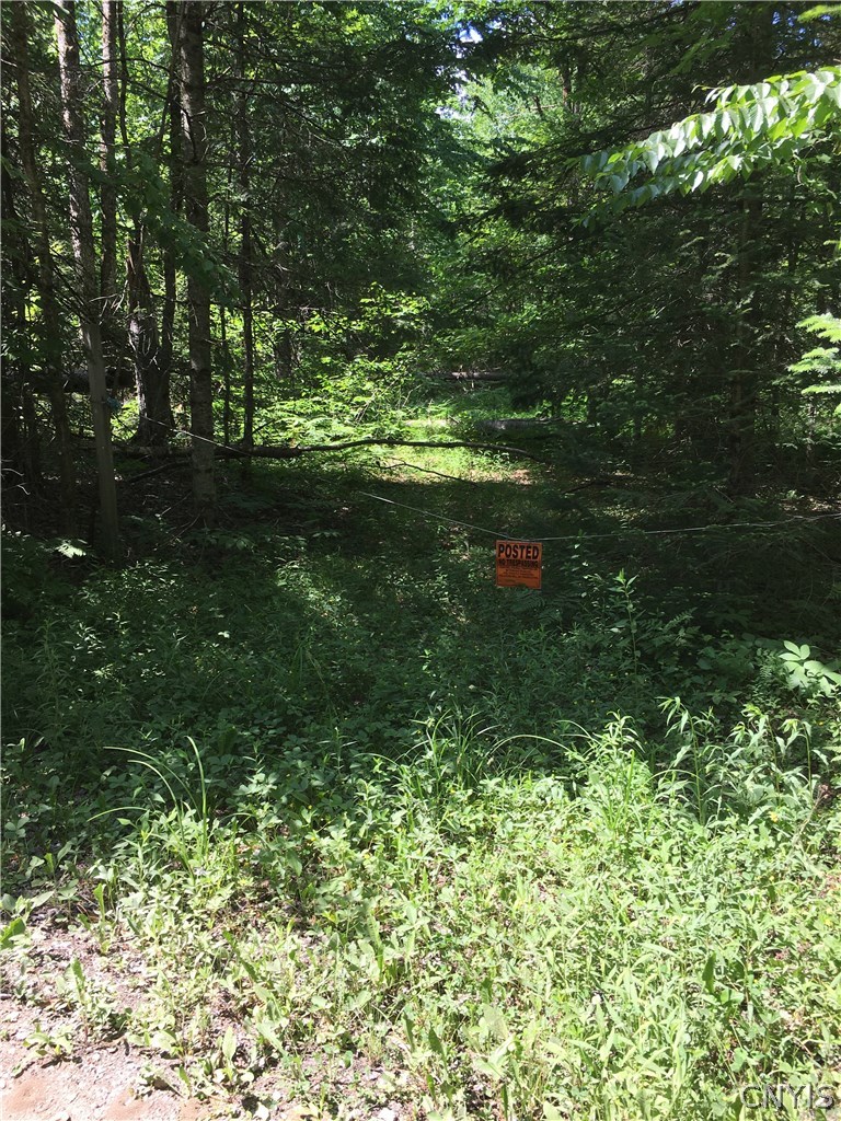 166 Little Beaver Lake Road, Sold in Forestport Zoocasa