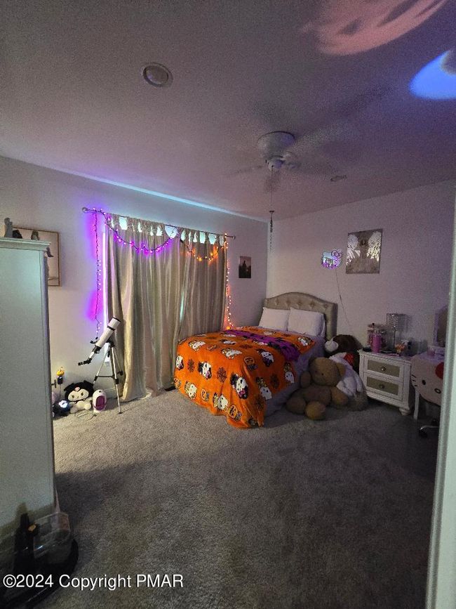 BED 7 | Image 77