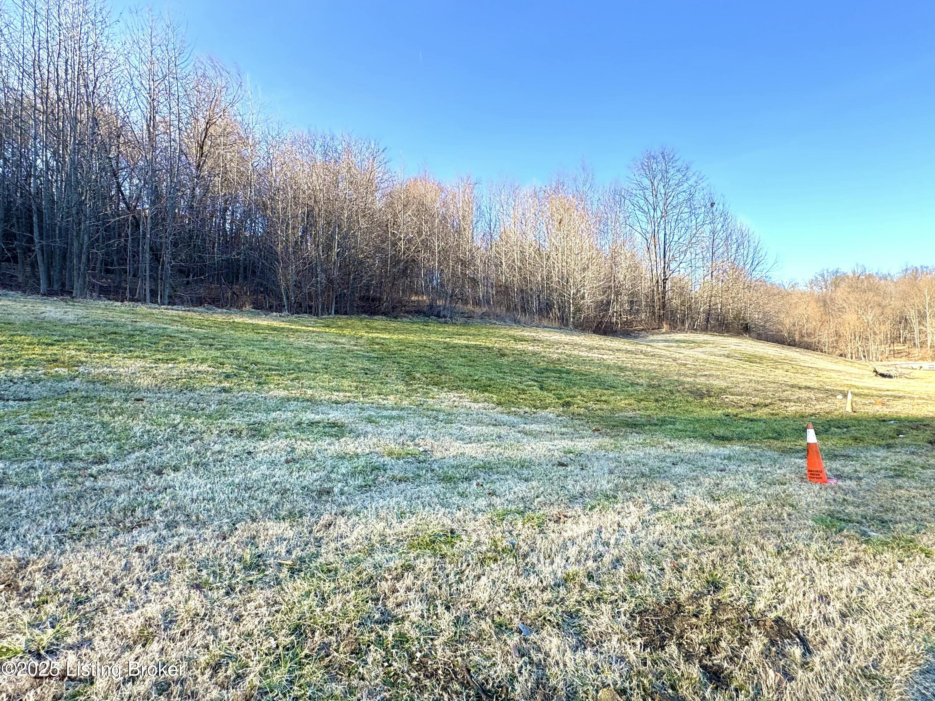 Land in Louisville 3