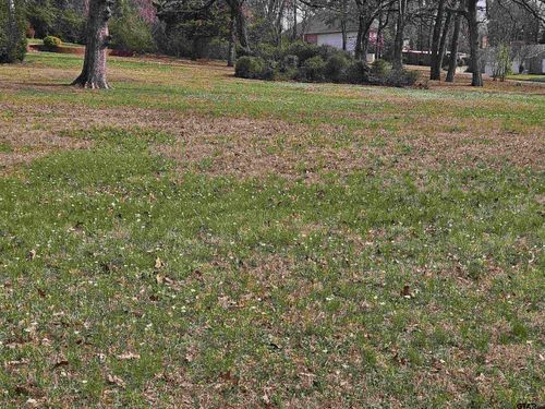 2995 S Broadway, Tyler, TX, 75701 | Card Image