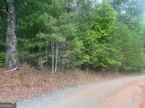100-LOT 100 Ashe Ct, Ellijay, GA, 30540-2435 | Card Image