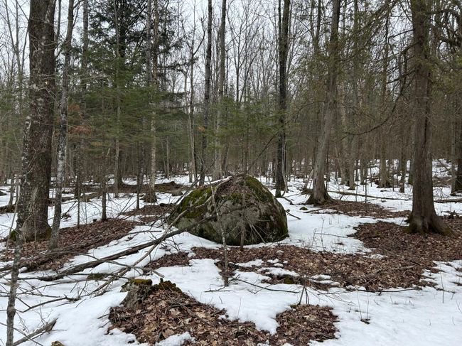 743 Woodlawn Rd, House other with 2 bedrooms, 1 bathrooms and null parking in Pickerel WI | Image 55