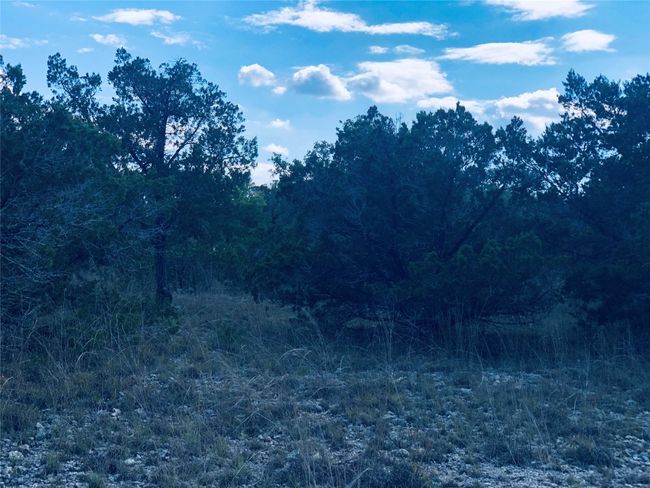 1020 Cliff Circle Drive, Home with 0 bedrooms, 0 bathrooms and null parking in Spring Branch TX | Image 7