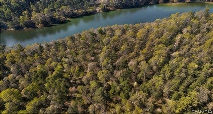 Land in Double Springs 4