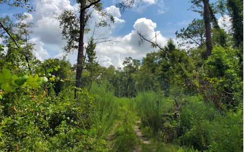 TBD 14th Path, Live Oak, FL, 32060 | Card Image