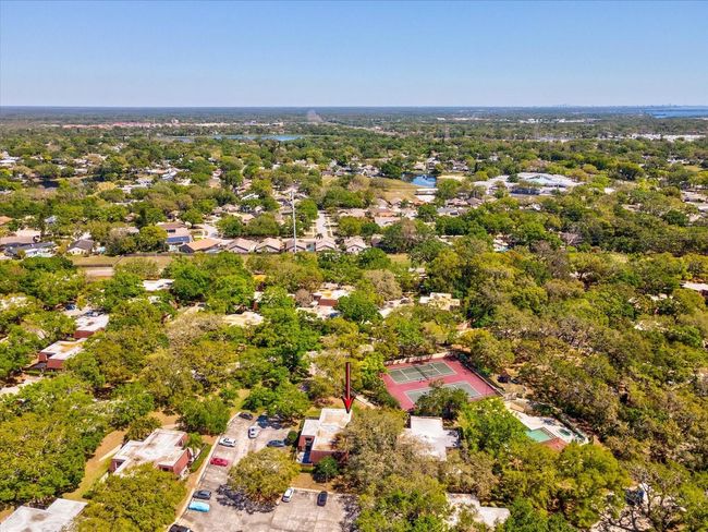 2644 2 Nd Ct, Townhouse with 2 bedrooms, 3 bathrooms and null parking in PALM HARBOR FL | Image 31