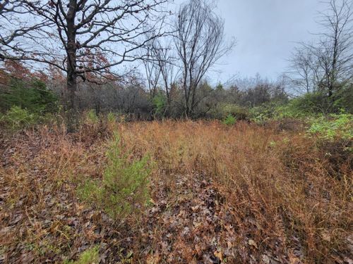 000 Emery Rd, Bucyrus, MO, 65444-8631 | Card Image