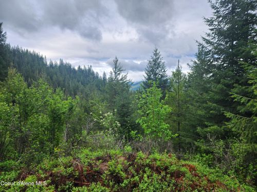 370 Hemlock Ln, Fernwood, ID, 83830 | Card Image