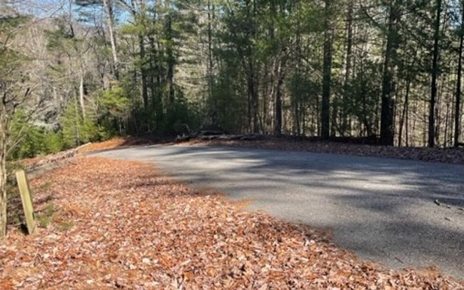 LT 43 Ridgeview Run, Home with 0 bedrooms, 0 bathrooms and null parking in Suches GA | Image 10