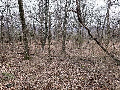 0 Hale Mountain Rd, Canehill, AR, 72717 | Card Image