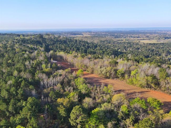 99 Cr 2107, Home with 0 bedrooms, 0 bathrooms and null parking in Rusk TX | Image 18