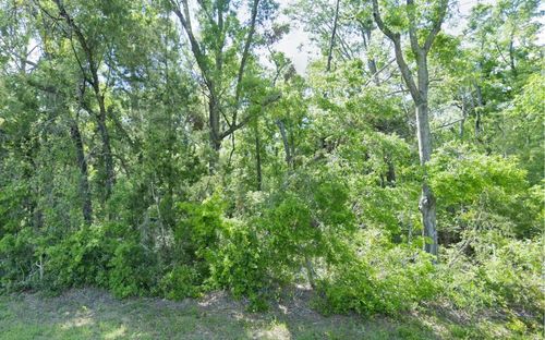 0 208th St, O Brien, FL, 32071 | Card Image