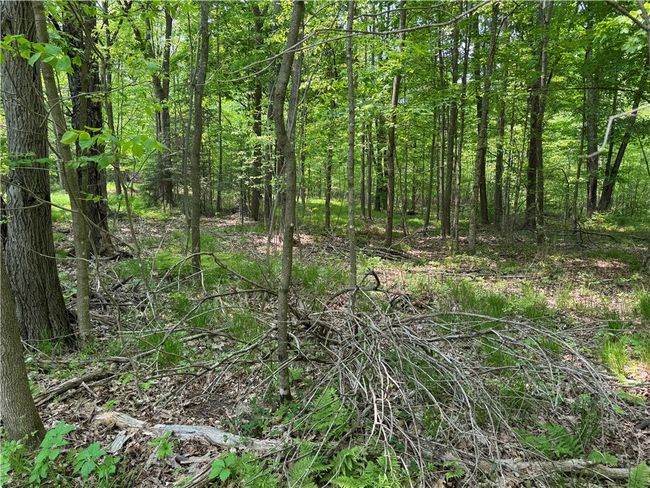 15014 Silver Creek Rd, House other with 1 bedrooms, 1 bathrooms and null parking in Birnamwood WI | Image 38