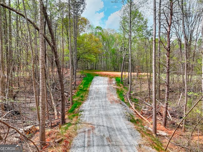 0 Falcon Ln, Home with 0 bedrooms, 0 bathrooms and null parking in Carnesville GA | Image 7