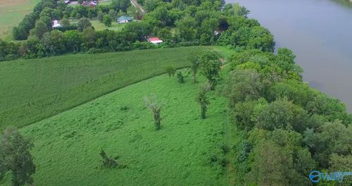 1193 Mccutcheon Loop Rd, Laceys Spring, AL, 35754 | Card Image