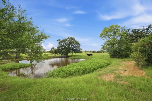 Tract 6 Holly Cemetery Road, Franklin, TX, 77856 | Card Image