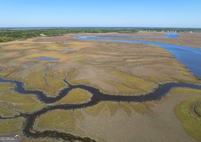 LOT 221 Clam Crk, Home with 0 bedrooms, 0 bathrooms and null parking in Waverly GA | Image 6