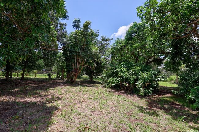 59-439 Alapio Rd, Home with 0 bedrooms, 0 bathrooms and null parking in Haleiwa HI | Image 10