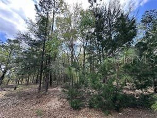 TBD Ne 12th Ln, WILLISTON, FL, 32696 | Card Image