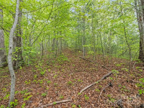 00 Falling Leaf Trl, Sylva, NC, 28779 | Card Image