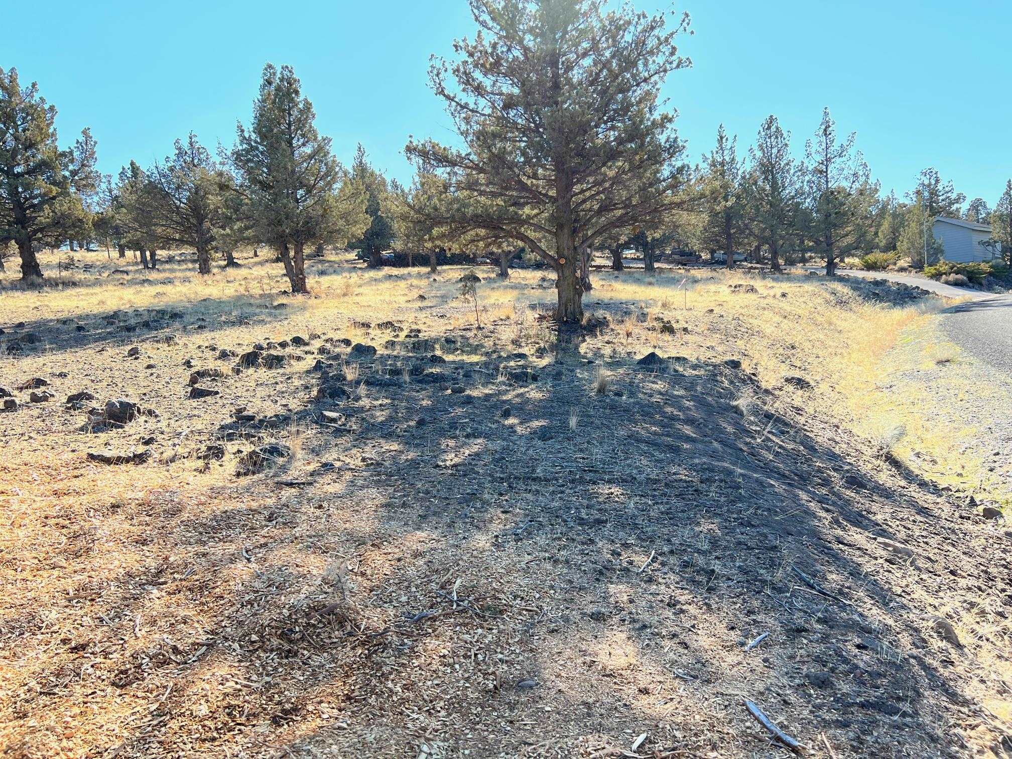 Land in Weed 4