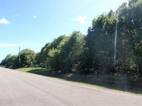 LOT 3 OR 8 Duncan Drive, Oyster Creek, TX, 77541 | Card Image