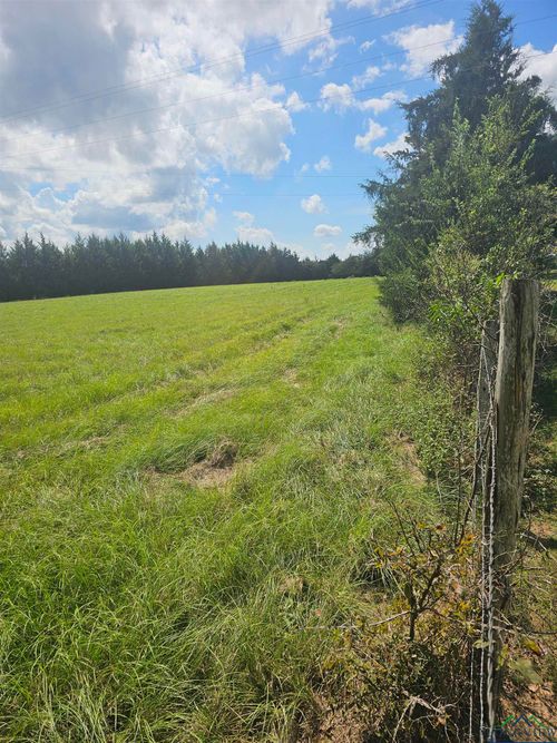 TBD Tract 6 Cr 306, Beckville, TX, 75631 | Card Image