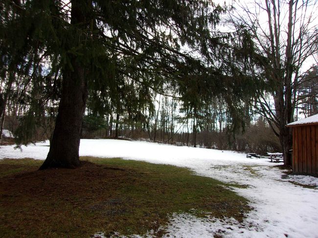 1055 Main St, House other with 4 bedrooms, 2 bathrooms and null parking in Castleton VT | Image 6