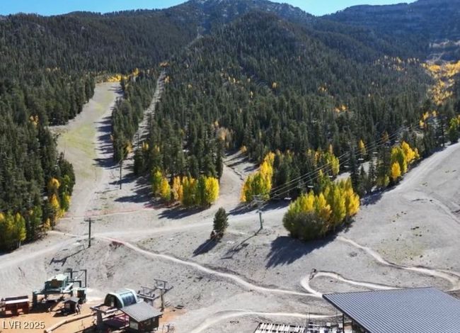 Welcome to Mt. Charleston! | Image 80