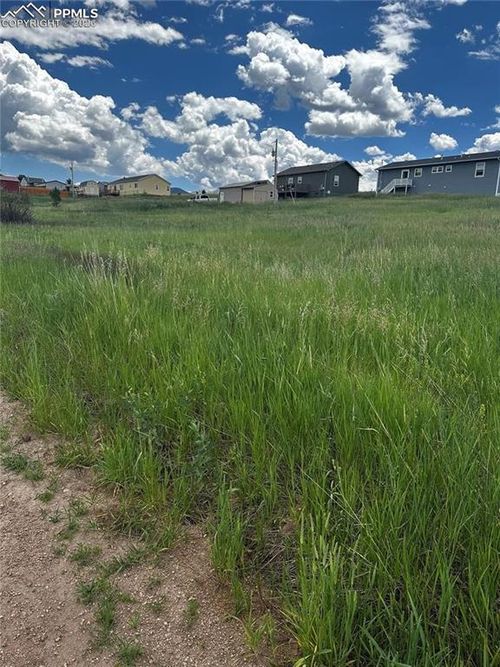 1298 Will Scarlet Dr, Divide, CO, 80814-9531 | Card Image