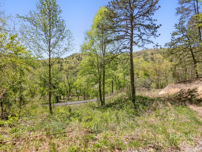 47 - 21 River Park Way, Home with 0 bedrooms, 0 bathrooms and null parking in Marshall NC | Image 14