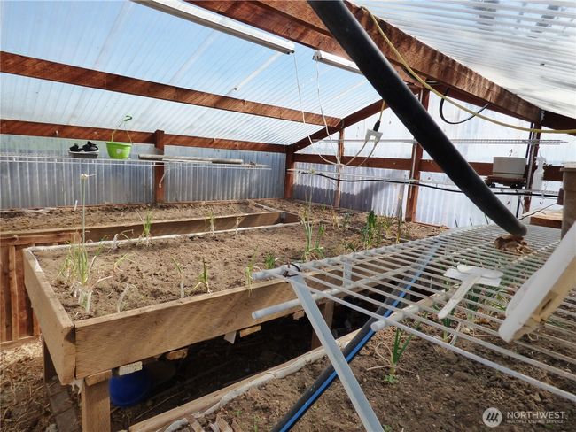 Inside the greenhouse | Image 19