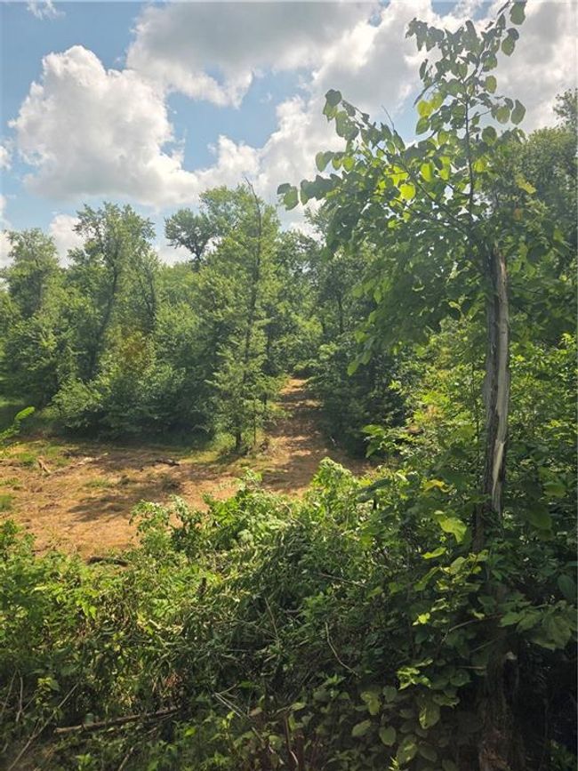 View of undeveloped land | Image 46