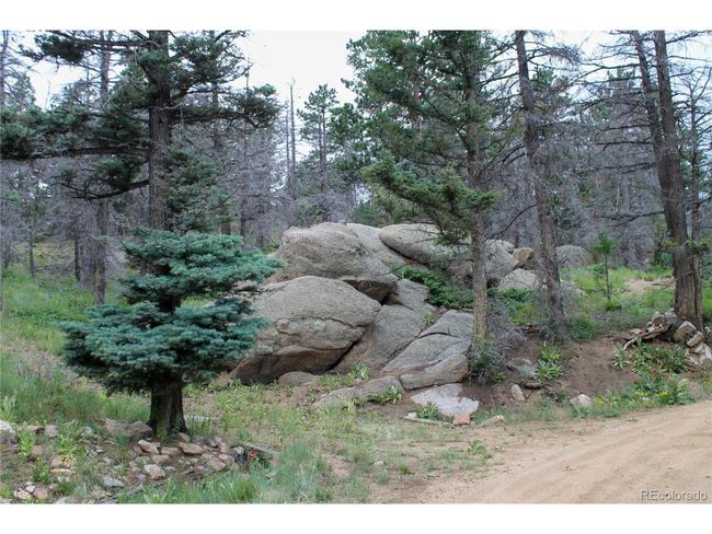 160 Nuthatch Dr, House other with 3 bedrooms, 3 bathrooms and null parking in Cotopaxi CO | Image 49