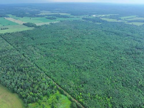80 Acres on County Line Road, CLOVERLAND, WI, 54820 | Card Image